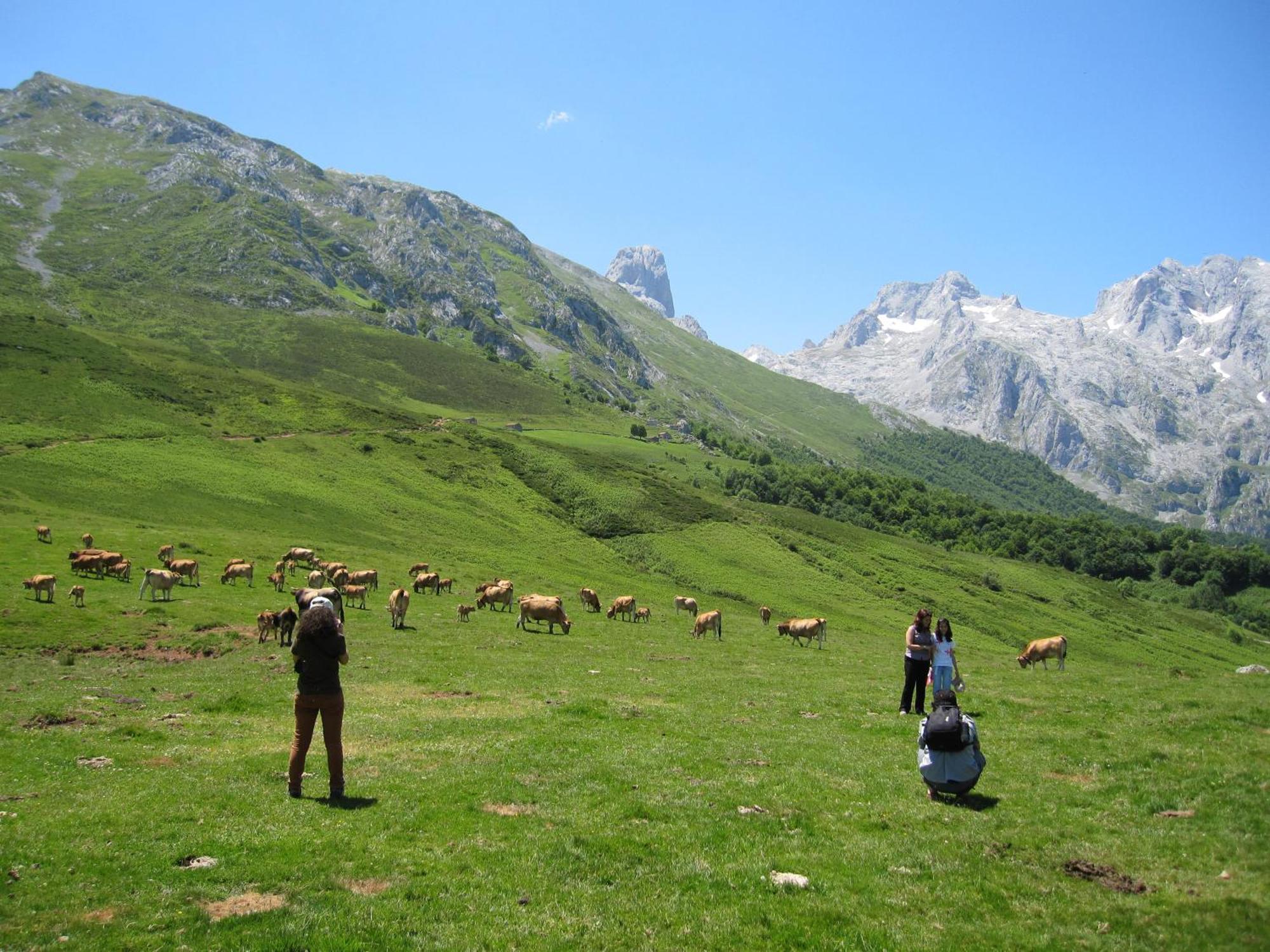 Hosteria Picos De Europa Potes Extérieur photo