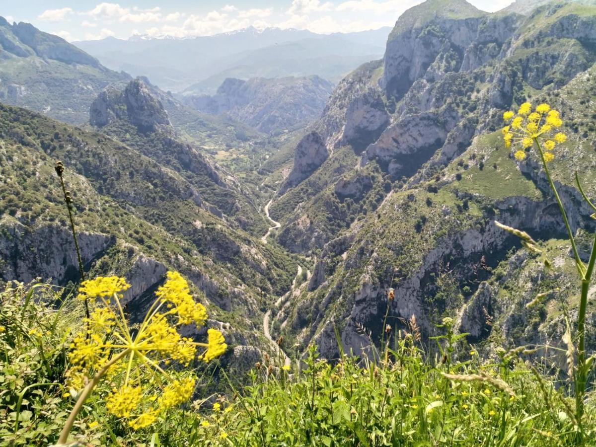 Hosteria Picos De Europa Potes Extérieur photo