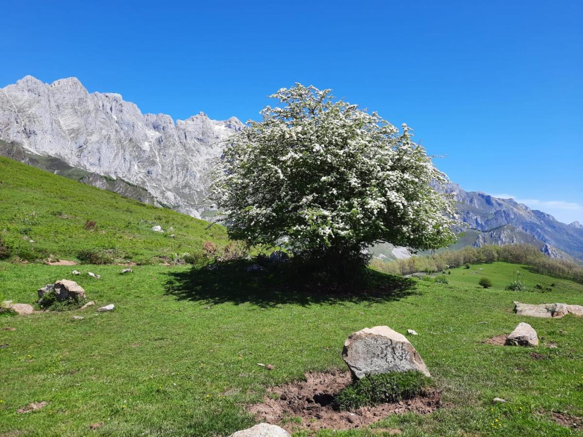 Hosteria Picos De Europa Potes Extérieur photo